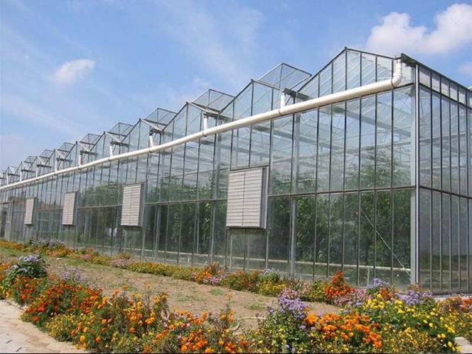 连栋温室大棚造价多少钱一平方 连栋温室大棚造价多少钱一平方